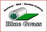 Blue Grass Blue Grass